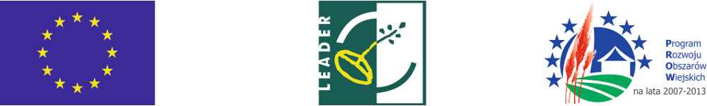   logotyp leader kolor maly.jpg